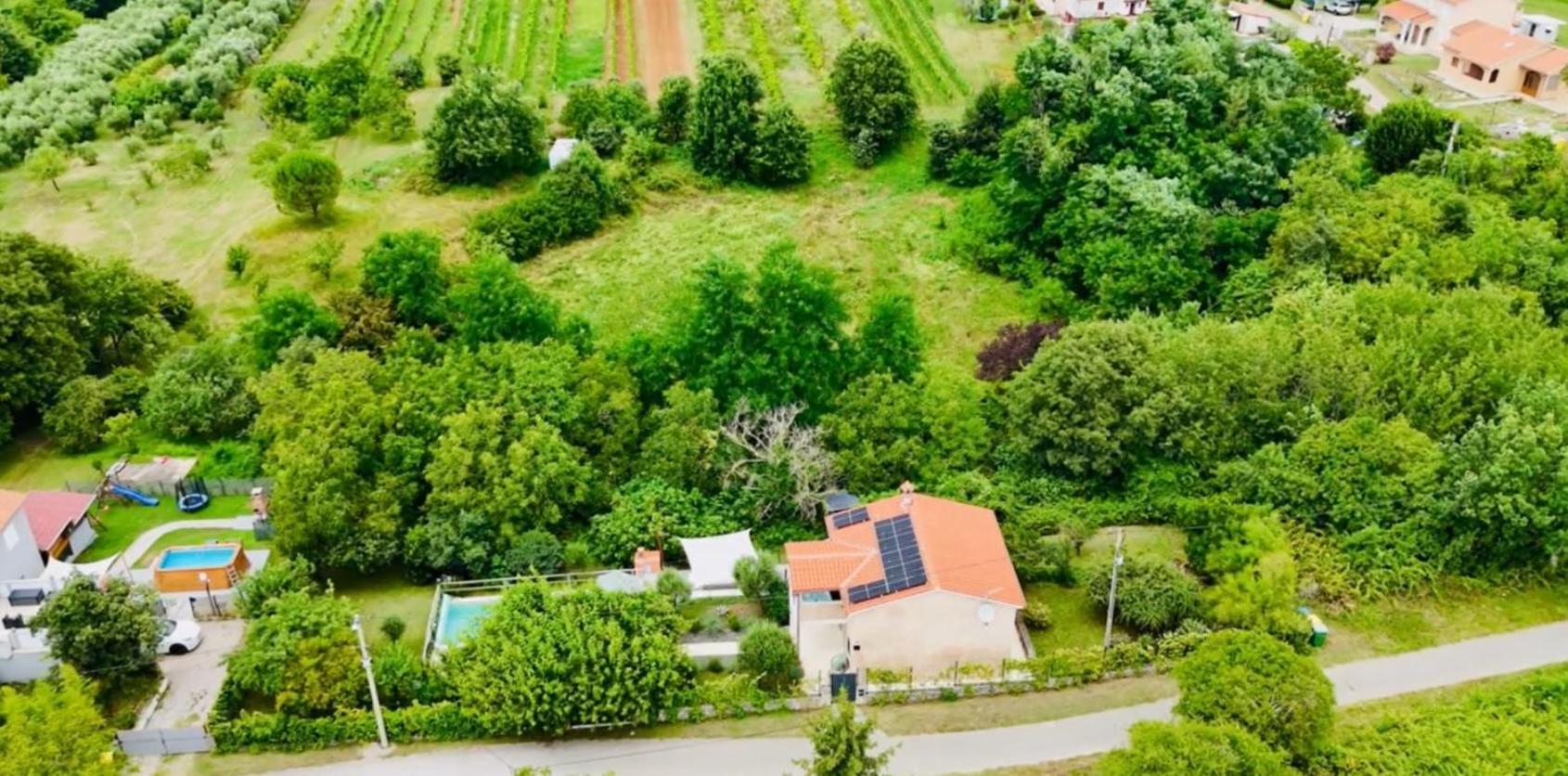 Wellness House Oliva With Heated Salt Water Pool, Sauna & Jakuzzi Labin  Exterior photo